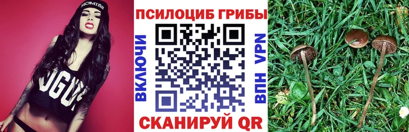 Галлюциногенные грибы мицелий  Троицк 